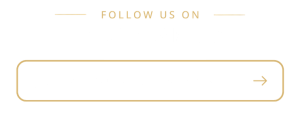 instagram-list